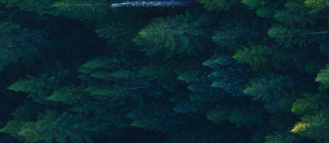 Screenshot 2025-04-10 at 11.50.14 am.png